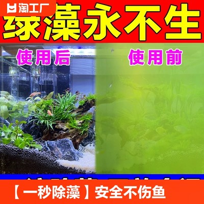 网购清洁用品的流行趋势 技巧与智慧之选